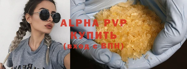 прущие грибы Беломорск
