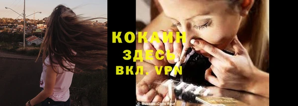 прущие грибы Беломорск