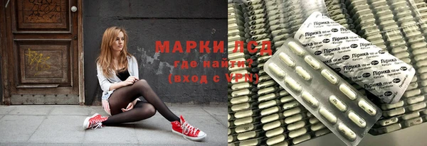 прущие грибы Беломорск