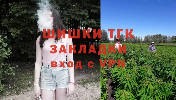 прущие грибы Беломорск