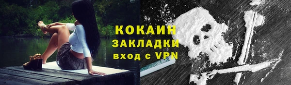 прущие грибы Беломорск