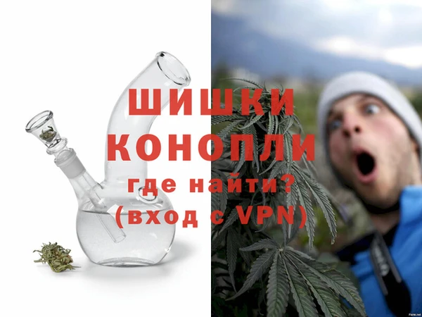 ПСИЛОЦИБИНОВЫЕ ГРИБЫ Белокуриха
