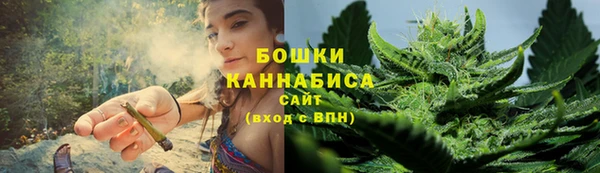 ПСИЛОЦИБИНОВЫЕ ГРИБЫ Белокуриха